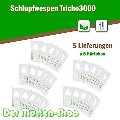Schlupfwespen gegen Kleidermotten 5 Karten x 5 Lieferungen