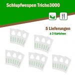 Schlupfwespen gegen Kleidermotten 3 Karten x 5 Lieferungen