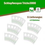 Schlupfwespen gegen Kleidermotten 5 Karten x 5 Lieferungen